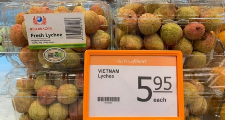 Việt Nam sẽ xuất khẩu 100 tấn vải sang thị trường Singapore