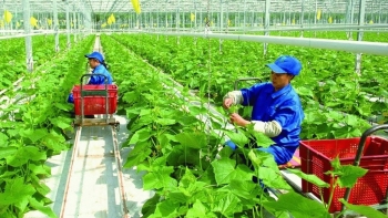 Khuyến khích doanh nghiệp đầu tư vào nông nghiệp, nông thôn