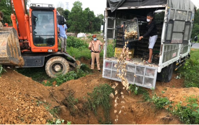 Lực lượng chức năng tỉnh Thái Nguyên giám sát việc tiêu hủy số gia cầm giống không có Giấy chứng nhận kiểm dịch 