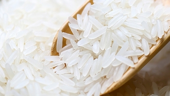 Giá gạo hôm nay 12/6: Tiếp đà tăng