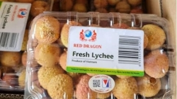 Vải thiều gắn tem truy xuất nguồn gốc lần đầu tiên sang Pháp