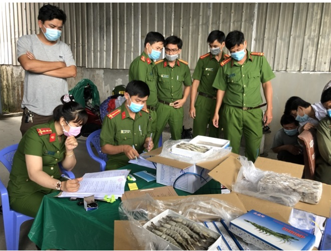 Cà Mau: Bắt xe container vận chuyển số lượng “khủng” tôm chứa tạp chất Agar