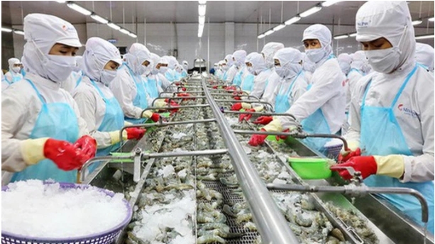 Doanh nghiệp xuất khẩu thủy sản cần chủ động, có biện pháp ứng phó phù hợp