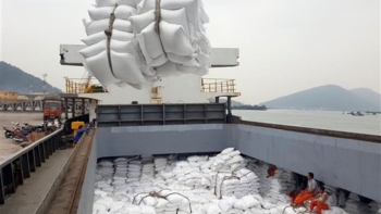 Xuất khẩu gạo sẽ tiếp tục tăng cao trong nửa cuối năm 2021