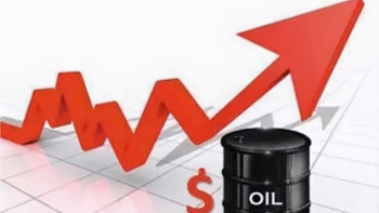 Giá xăng dầu hôm nay 15/6: Giữ đà tăng nhẹ