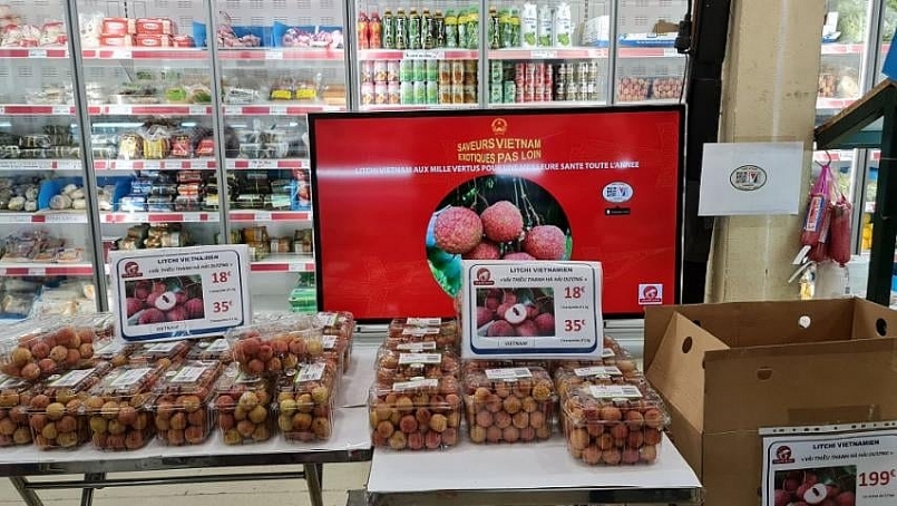 Vải thiều Thanh Hà bán 500.000 đồng/kg tại Pháp