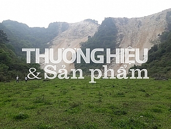 Ninh Bình: Công ty Xi măng Vicem Tam Điệp bị tố nổ mìn khai thác đá gây thiệt hại nặng nề Ninh Bình: Công ty Xi măng Vicem Tam Điệp bị tố nổ mìn khai thác đá gây thiệt hại nặng nề