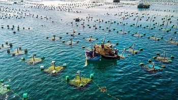 Đề xuất hỗ trợ một lần sau đầu tư đối với cơ sở nuôi trồng thuỷ sản trên biển