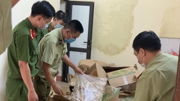 Lào Cai: Phát hiện, tiêu hủy hơn 1 tấn chân gà không rõ nguồn gốc