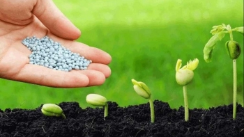 Bộ Công Thương lý giải về giá phân bón tăng mạnh