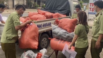 Bạc Liêu: Thu giữ 450kg trà sấy khô không rõ nguồn gốc xuất xứ