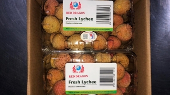 Thêm kênh nhập khẩu mới vải thiều Việt Nam vào Nhật Bản