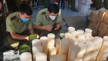 Quảng Bình: Phát hiện, thu giữ gần 1 tấn kem, hóa chất mỹ phẩm không rõ nguồn gốc xuất xứ