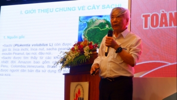 Một số kết quả nghiên cứu mới về cây Sacha inchi tại một số tỉnh Nam Bộ