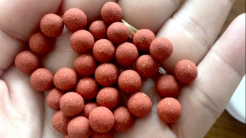 Cảnh báo: Phản ứng có hại nghi ngờ liên quan đến viên hoàn chứa phenformin không rõ nguồn gốc