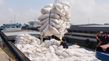 Bộ Công Thương kiểm tra 5 doanh nghiệp xuất nhập khẩu gạo