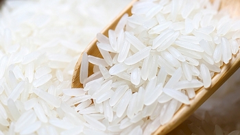 Giá lúa gạo hôm nay 29/6: Chững giá