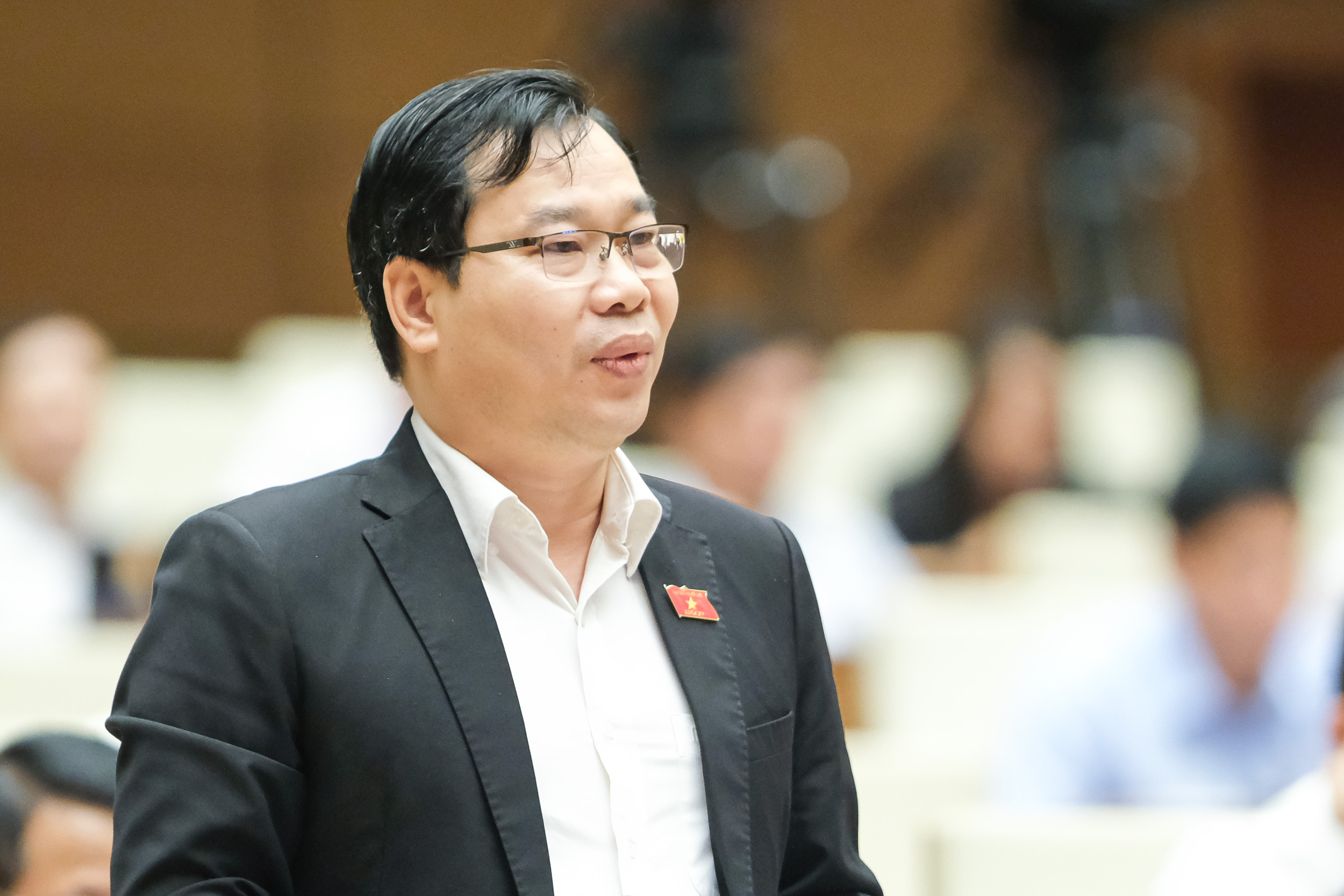 Đại biểu Đỗ Đức Hồng Hà – Đoàn ĐBQH Tp.Hà Nội Đại biểu Đỗ Đức Hồng Hà – Đoàn ĐBQH Tp.Hà Nội