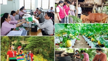 Phấn đấu "Vì một Việt Nam không còn đói nghèo"