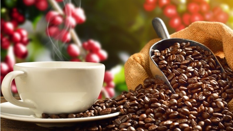 Xuất khẩu cà phê “bùng nổ” trong 5 tháng đầu năm