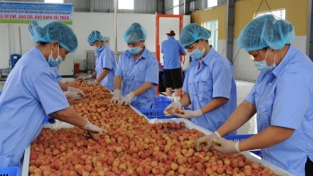 Hỗ trợ doanh nghiệp xuất khẩu nông sản sang thị trường RCEP