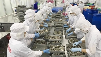 Thuỷ sản Việt Nam rộng cửa vào RCEP nhờ quy tắc xuất xứ nới lỏng