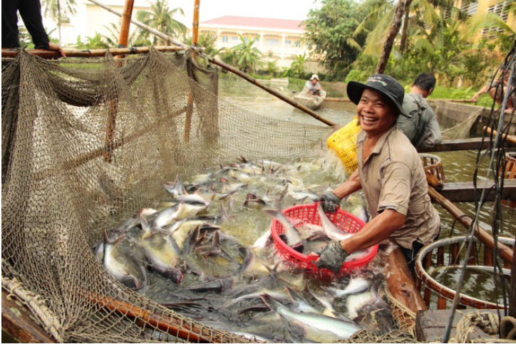 các doanh nghiệp Việt cần phải tìm hiểu thật kỹ quy tắc xuất xứ, đặc biệt là quy tắc xuất xứ cộng gộp nội khối; đáp ứng tốt các quy định về biện pháp vệ sinh và kiểm dịch động - thực vật (SPS) và rào cản kỹ thuật trong thương mại (TBT).