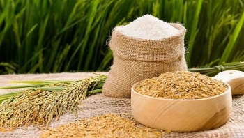 Cập nhật giá lúa gạo hôm nay 11/6/2022: Chững lại