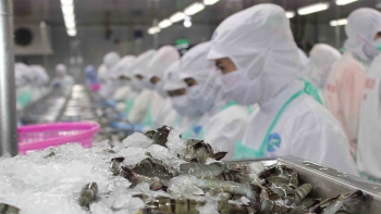 Xuất khẩu thủy sản sang các thị trường lớn đều tăng