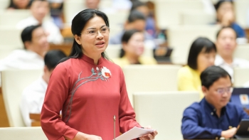 Cần nhận diện và phân loại theo nhóm các hành vi bạo lực gia đình