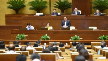 Xây dựng Luật Phòng, chống bạo lực gia đình (sửa đổi) không thể rập khuôn máy móc