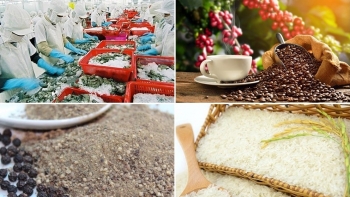 Gạo, cà phê, hồ tiêu, thủy sản Việt Nam ngày càng được người Pháp ưa chuộng