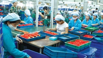 EVFTA - Cơ hội và thách thức cho ngành nhựa Việt Nam