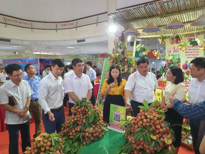                   Các đại biểu tham quan các gian hàng