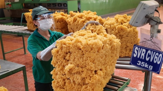 Lượng cao su xuất khẩu tháng 5 tăng mạnh