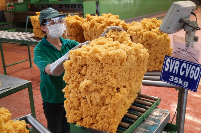 Lượng cao su xuất khẩu tháng 5 tăng mạnh