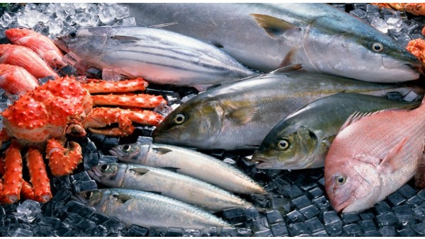 Nhập khẩu thủy sản 5 tháng đầu năm 2022 tăng 14%