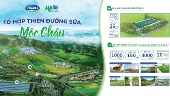 Thiên đường sữa trên thảo nguyên xanh Mộc Châu - dự án “khủng” của 2 ông lớn ngành sữa