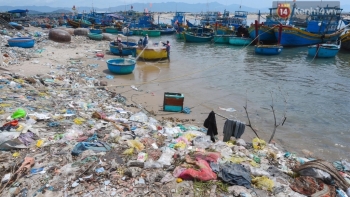 Cá nhân vi phạm về bảo vệ môi trường bị phạt đến 1 tỷ đồng