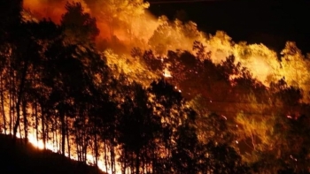 Tăng cường các biện pháp cấp bách phòng cháy, chữa cháy rừng