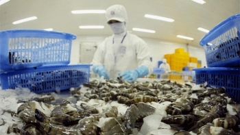 VASEP: Xuất khẩu thủy sản năm 2021 có thể cán đích 9 tỷ USD