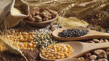 FAO: Giá lương thực toàn cầu tăng tháng 13 liên tiếp