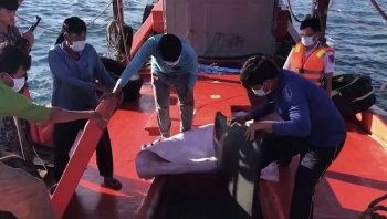 Cảnh sát biển bắt giữ tàu vận chuyển khoảng 70.000 lít dầu DO nhập lậu