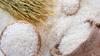 TT lúa gạo châu Á: Giá gạo xuất khẩu của Việt Nam, Thái Lan và Ấn Độ đều giảm