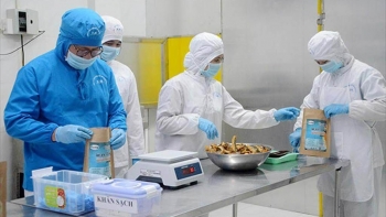 VASEP: Doanh nghiệp thủy sản muốn được lựa chọn hình thức kiểm dịch