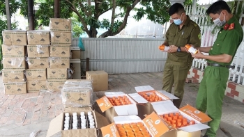 An Giang: Phát hiện số lượng lớn thuốc bảo vệ thực vật "vô chủ"