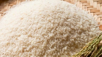 Giá gạo hôm nay 10/7: Gạo nguyên liệu xuất khẩu tăng nhẹ
