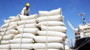 TT lúa gạo châu Á: Giá gạo xuất khẩu của Việt Nam, Thái Lan và Ấn Độ đều ở mức thấp