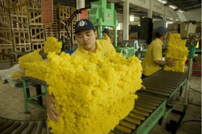 Việt Nam nhập siêu 100 triệu USD cao su trong nửa đầu năm 2021