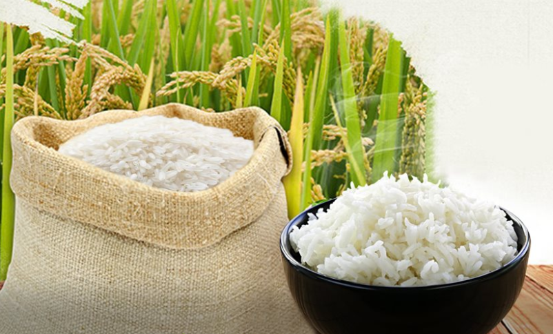 Giá gạo hôm nay 15/7: Tăng nhẹ